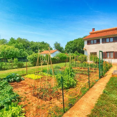 Apartment Marija 1294 Банджоле